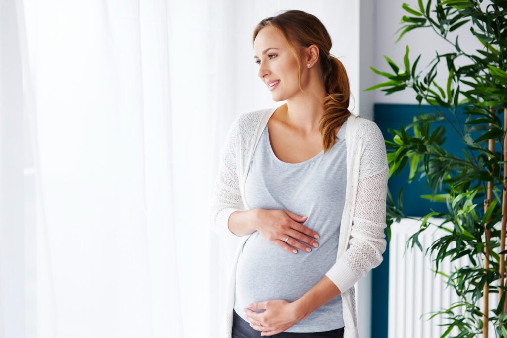 supplements are necessary for pregnant  and prenatal mothers- meenu arora's blog

